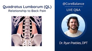 Quadratus Lumborum QL Relationship to Back Pain  LIVE QampA 52224 [upl. by Rape122]