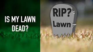 Is My Lawn Dead  Warm Season Grasses amp Winter Lawn Dormancy [upl. by Lenahs]