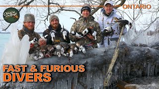 EXCITING Fastpaced Duck Hunting in Ontario  Canada in the Rough [upl. by Ymmac176]