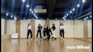 Dreamcatcher  Whistle Dance Practice Magic Dance Cover [upl. by Ecneret553]