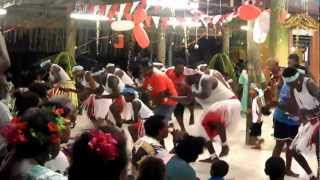 Torres Strait Islander Dancers [upl. by Riess]