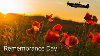 Remembrance Day [upl. by Ane]