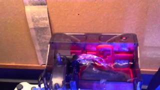 Fluval C2 Review for Saltwater Application [upl. by Duky]