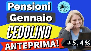 PENSIONI 👉 ANTEPRIMA CEDOLINO GENNAIO CON AUMENTI e altro❗️Ecco cosa conterrà [upl. by Cox]