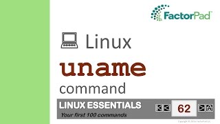 Linux uname command summary with examples [upl. by Iver]