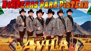 Los Avila Mix De Exitos 🔥 Puras Norteñas Para Pistear 🔥 Los Avila Sus Mejor Canciones [upl. by Erna]