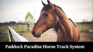 See How Our Paddock Paradise Equine Track System is Helping Our LaminitisProne Miniature Horse [upl. by Eibber]