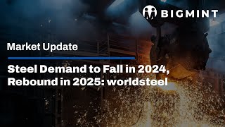 Steel Demand to Fall in 2024 Rebound in 2025 worldsteel [upl. by Dnomsed533]