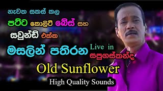 Mersalin Pathirana with Old Sunflowers  Live in Sapugaskanda  Re Created Quality Sounds [upl. by Ahdar]