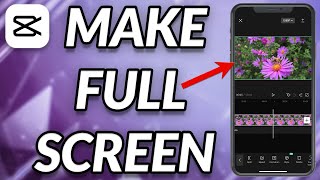 How To Make Full Screen On CapCut [upl. by Amre196]