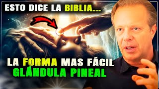 Las Enseñanzas Ocultas De Jesús Para Activar La Glándula Pineal  Dr JOE DISPENZA [upl. by Tavy]