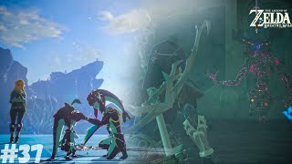 Breath of the Wild  EX Champion Miphas Song DLC 2 Illusory Realm Waterblight Ganon Complete [upl. by Arinaj750]