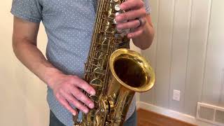 Selmer Mark VII Alto Saxophone Demo wwwdcsaxcom [upl. by Schrader]