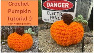 Crochet pumpkin tutorial with written pattern Fun Halloween  fall crochet idea [upl. by Nylireg]