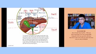 Sơ đồ tổng hợp chuyển hóa và bài tiết bilirubin  Bác sĩ Tân [upl. by Feigin842]