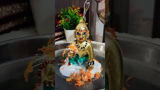 Laddu gopal sanan shortvideo radhakrishna [upl. by Nilya]