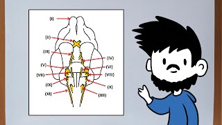 ✅ ¿QUÉ HACER SI MI PERRO TIENE MOQUILLO ✅ SÍNTOMAS TRATAMIENTO Y PLAN VACUNAL del DISTEMPER CANINO [upl. by Viviana575]