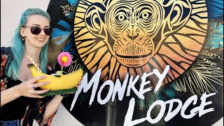 Themed cocktails at MONKEY LODGE in Torrevieja [upl. by Susejedesoj]