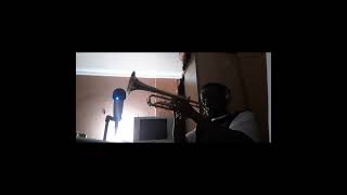 Bryson Tiller Dont trumpet cover [upl. by Anileme]