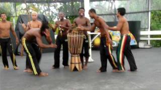 Capoeira de Contato  Rio de Janeiro [upl. by Yarak]