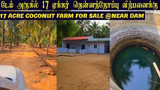 17 ACRE FOR SALENEAR DAM டேம் அருகில் 17 ஏக்கர் தென்னந்தோப்பு விற்பனைக்குrealestate landforsale [upl. by Rockafellow]