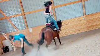 Is This A KIDS Horse or a RODEO Bronc [upl. by Heppman]