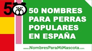 50 nombres para perras populares en España  wwwnombresparamimascotacom [upl. by Drew602]