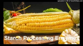 Starch Processing Enzymes Suppliers Glucoamylase Thermostable α–Amylase [upl. by Nemhauser]