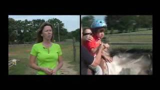 Hippotherapy Explained [upl. by Alig]