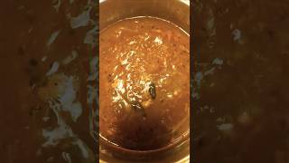 Tomato rasam food cooking rasam denmark [upl. by Nickola]