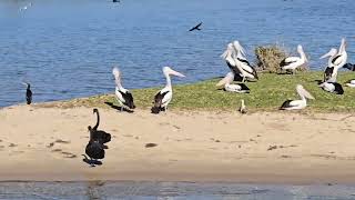 lakes entrance 2 days Trip  VIC  Australia  traveling from Melbourne [upl. by Llekim232]