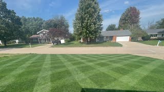 Complete Lawn Renovation Everything you need to know [upl. by Wende]