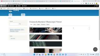 Create a Flexible Layout for a Content Type for Drupal 8 Drupal 9 [upl. by Yekcaj117]