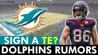 Dolphins Rumors On Signing A Tight End In NFL Free Agency Dalton Schultz Hunter Henry Noah Fant [upl. by Gusti945]