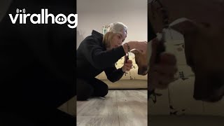 Canine Nail Trimming Lifehack  ViralHog [upl. by Opportina]