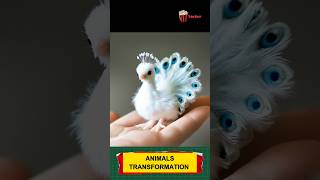 Animal before and after growing up trending animals funnyanimals animaltransformation [upl. by Zak]