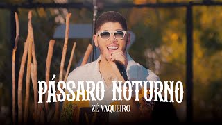 Pássaro Noturno  Zé Vaqueiro [upl. by Bolten]