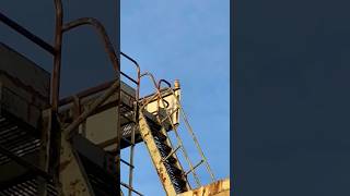 Kestrel On Dragline Excavator In Direct Sunlight  RSPB St Aidan’s birds avian nature [upl. by Aryahay]