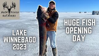 Opening Day GIANT SPEARED on LAKE WINNEBAGO  Sturgeon Spearing 2023 [upl. by Nikita567]