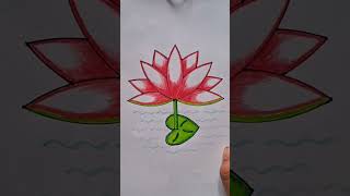 How To Draw Water lily step by step How to draw Water lily easy and simple SJJ Art amp Craft [upl. by Lunseth]