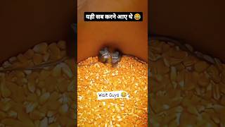 🤪Ham Logon ki mummy🤪papa Janti hai jo karna hai kar lo🤣short funnyvideo youtubeshorts comedy [upl. by Hesketh160]