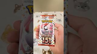 I Opened Pokemon 151 Packs for 29 days straight [upl. by Fionnula]