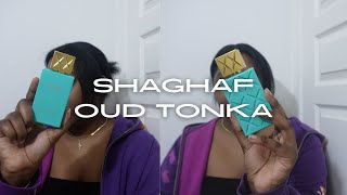 Swiss Arabians Limited Edition Flanker Shaghaf Oud Tonka Review  pm [upl. by Sivatco]