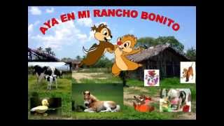 LAS ARDILLITASMI RANCHO BONITO [upl. by Merrill470]