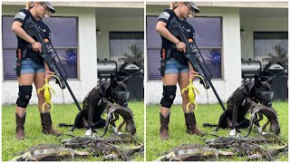 Day 24 Hired To Remove Giant Iguanas From Private Community Pond Iguanas Are Eating Everything [upl. by Beitch]