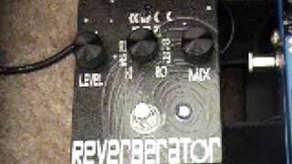 Gear Demo — Dr Scientist Radical Red Reverberator [upl. by Hirz]