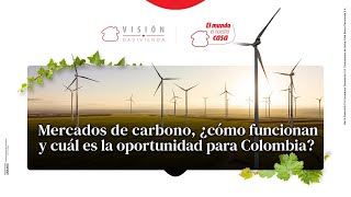 Mercados de carbono ¿cómo funcionan y cuál es la oportunidad para Colombia [upl. by Mathilda420]