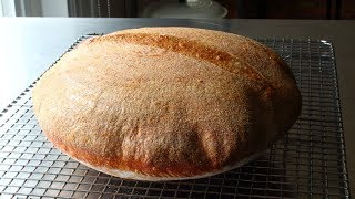 Sourdough Bread  Part 1 The Starter [upl. by Abocaj]