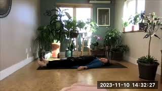 Reflex Integration Practice Dr Schwartz with Myofascial Yoga Teacher Training [upl. by Arama]