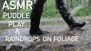 ASMR  PUDDLE PLAY amp RAIN DROPS ON FOLIAGE BOOT STEPS RAIN SLOSHYWATER SOUNDS  Lynn Rasmussen [upl. by Stanislas]